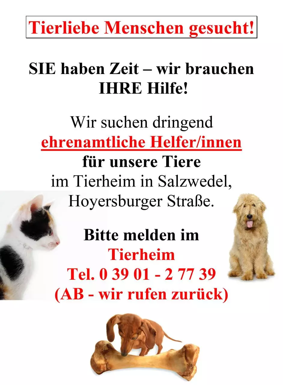 Page 1 of 1, Tierliebe Menschen gesucht Tierheim SAW