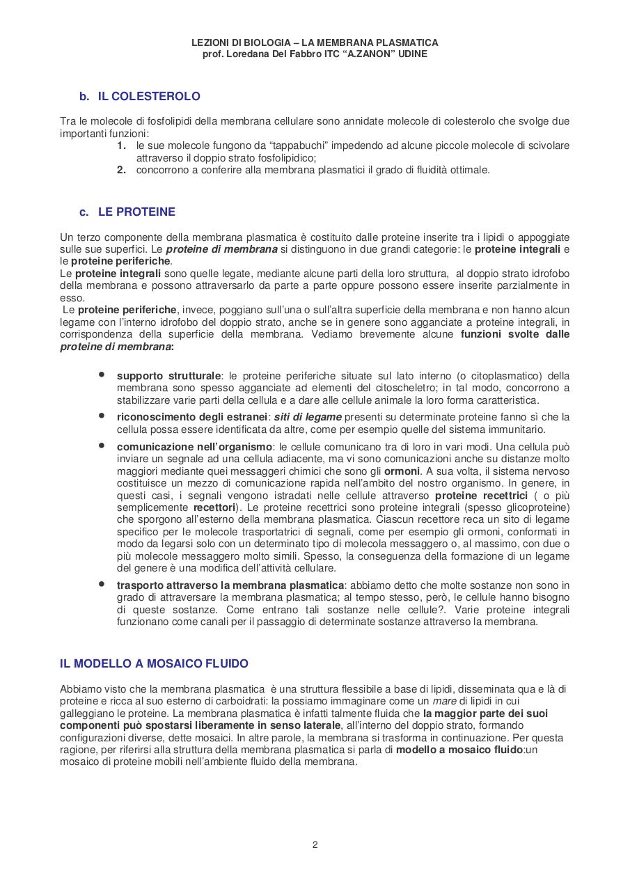 la_membrana_plasmatica_1.pdf - page 2/8