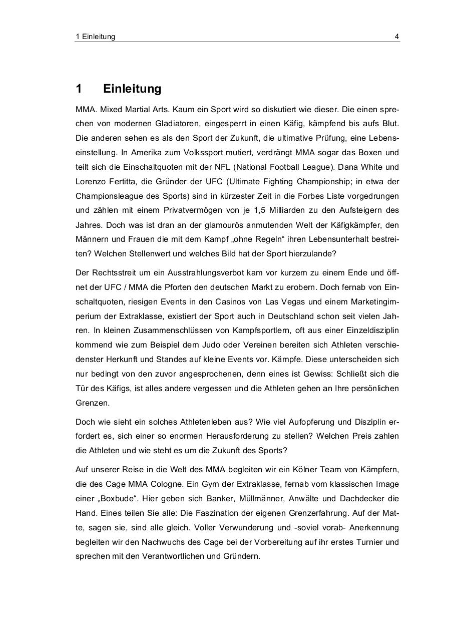 MMA Hausarbeit Journalismus.pdf - page 4/20
