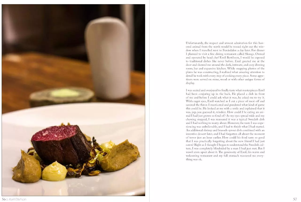 Page 5 of 6, Kjell Ellefson Jamtland Writing Portfolio