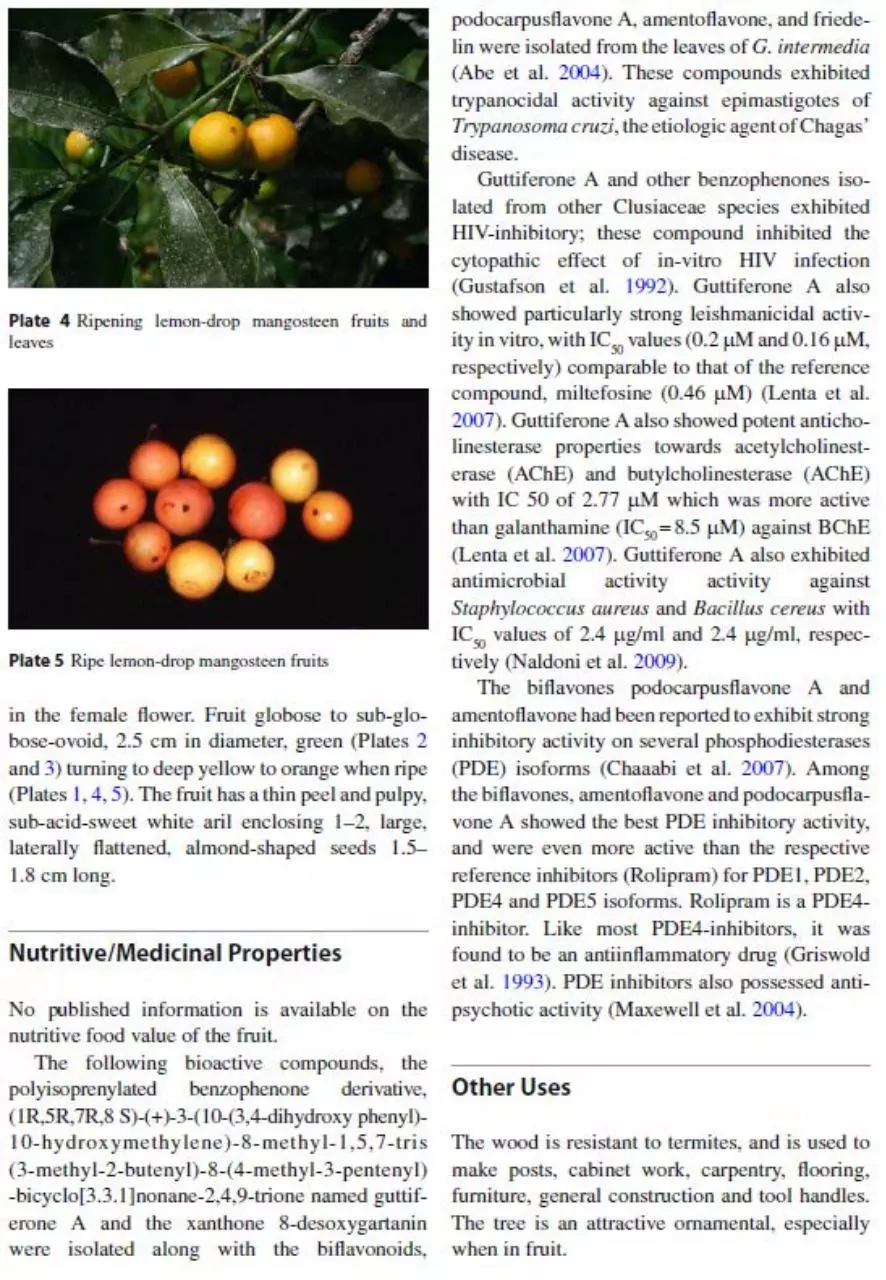 Page 1 of 1, G.intermedia Nutrition
