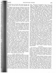 Page 2, Arachnidism1926Bogen
