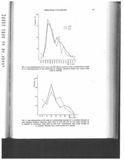 Page 5, Latrodectus1964Bettini