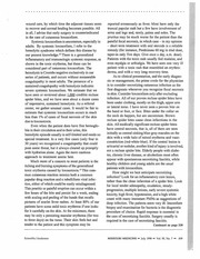 Page 2, Loxosceles1998Anderson