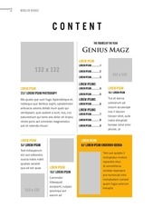 Page 2, Leikskráv2.4