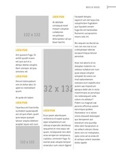 Page 3, Leikskráv2.4