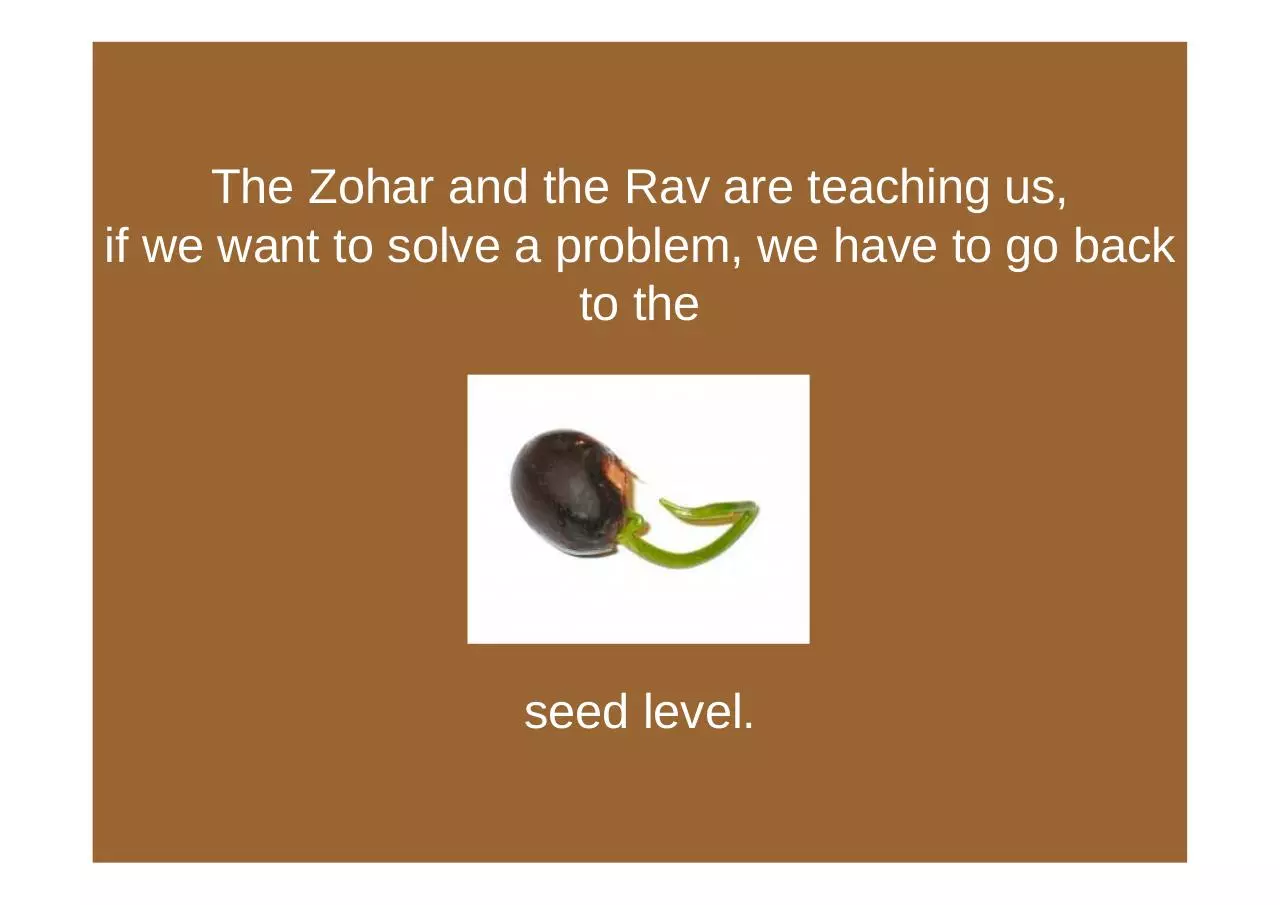 Page 4 of 19, Zohar Projekt Presentation Warsaw2013