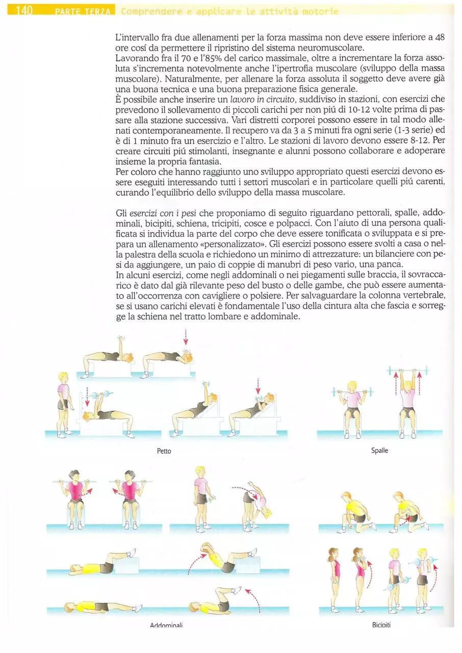 Page 5 of 14, LIbro 7