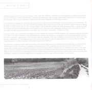 Page 5, 2000
