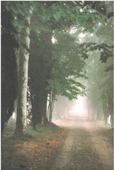 Page 3, 2002