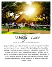 Page 5, AF Wedding Guide