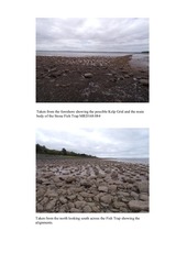 Page 2, newkelpgrid2