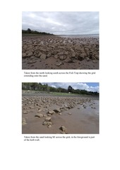 Page 3, newkelpgrid2