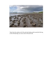Page 4, newkelpgrid2