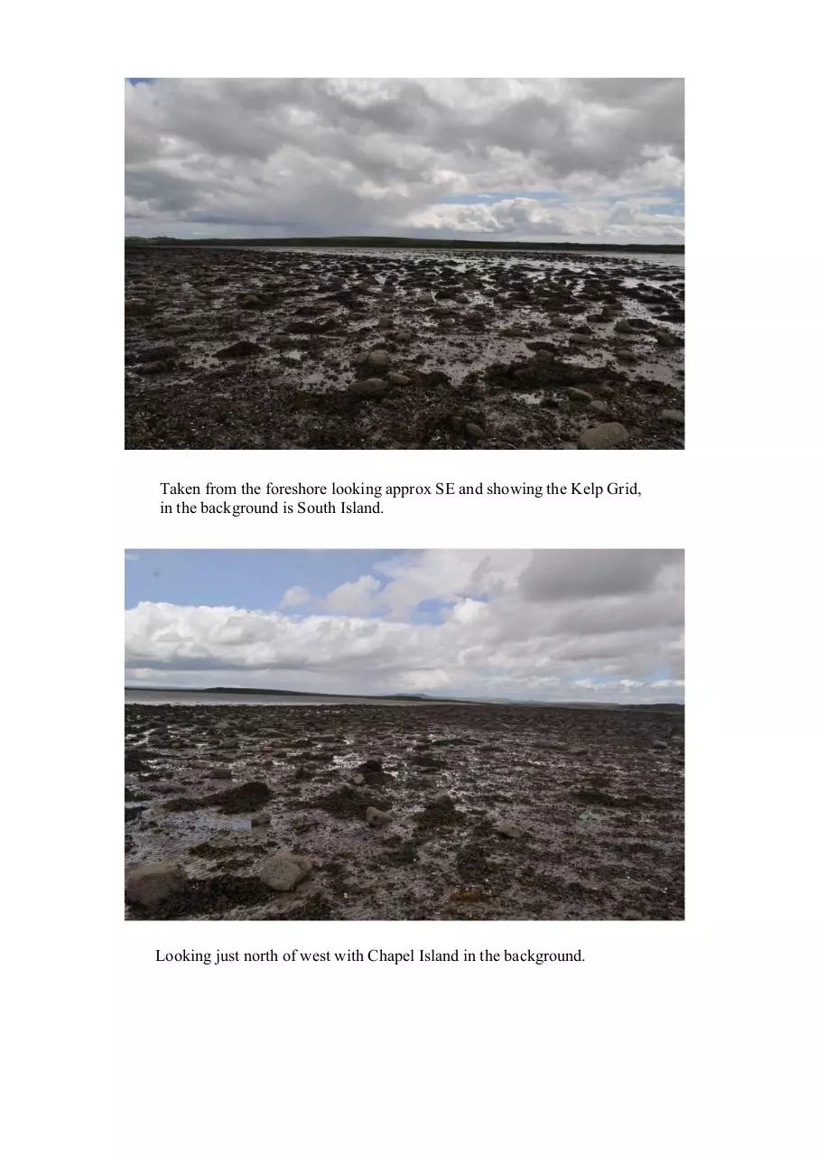 Page 2 of 3, newkelpgridmid