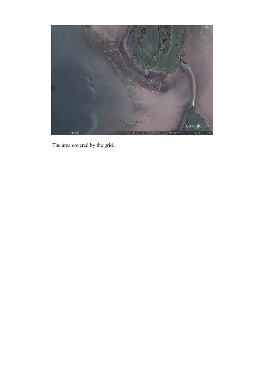 Page 3 of 3, newkelpgridmid