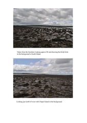 Page 2, newkelpgridmid
