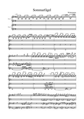 Page 1, sommarfågel by vintergatan