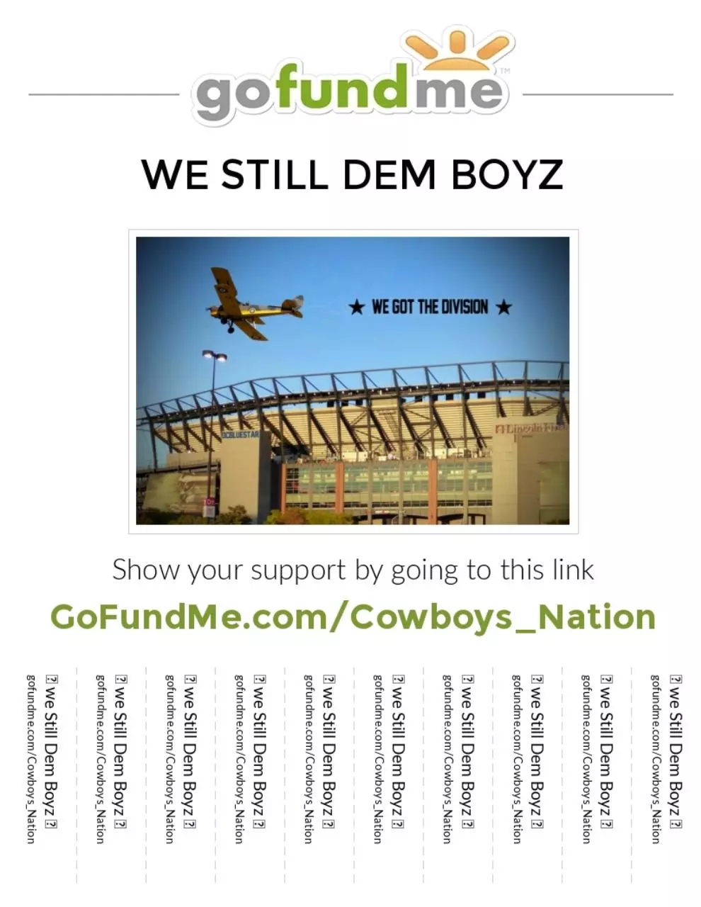 Document preview - Cowboys Banner Flyover.pdf - Page 1/1