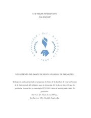 Page 3, tesis pregrado(2)