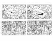 Page 3, Feather