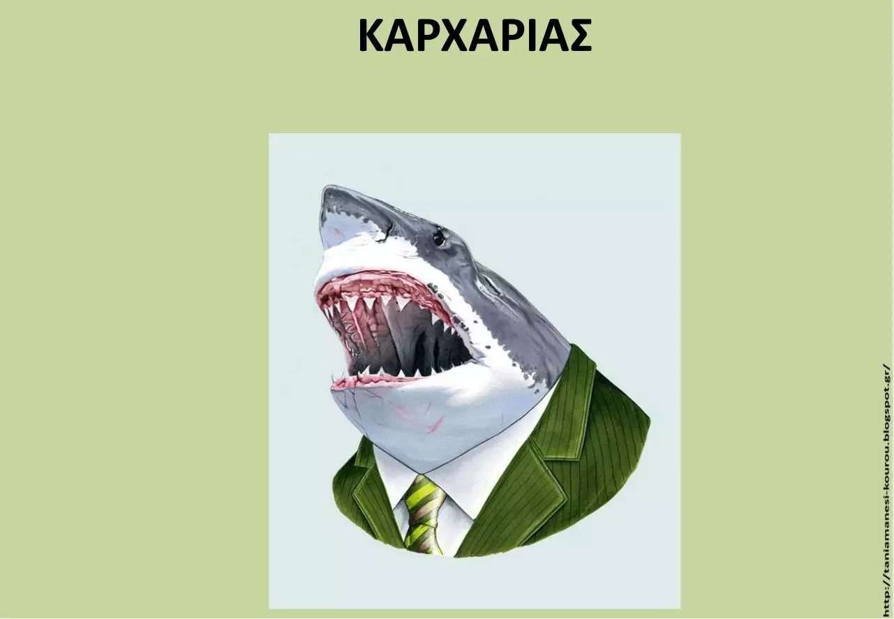 Page 3 of 40, ΖΩΩΝ