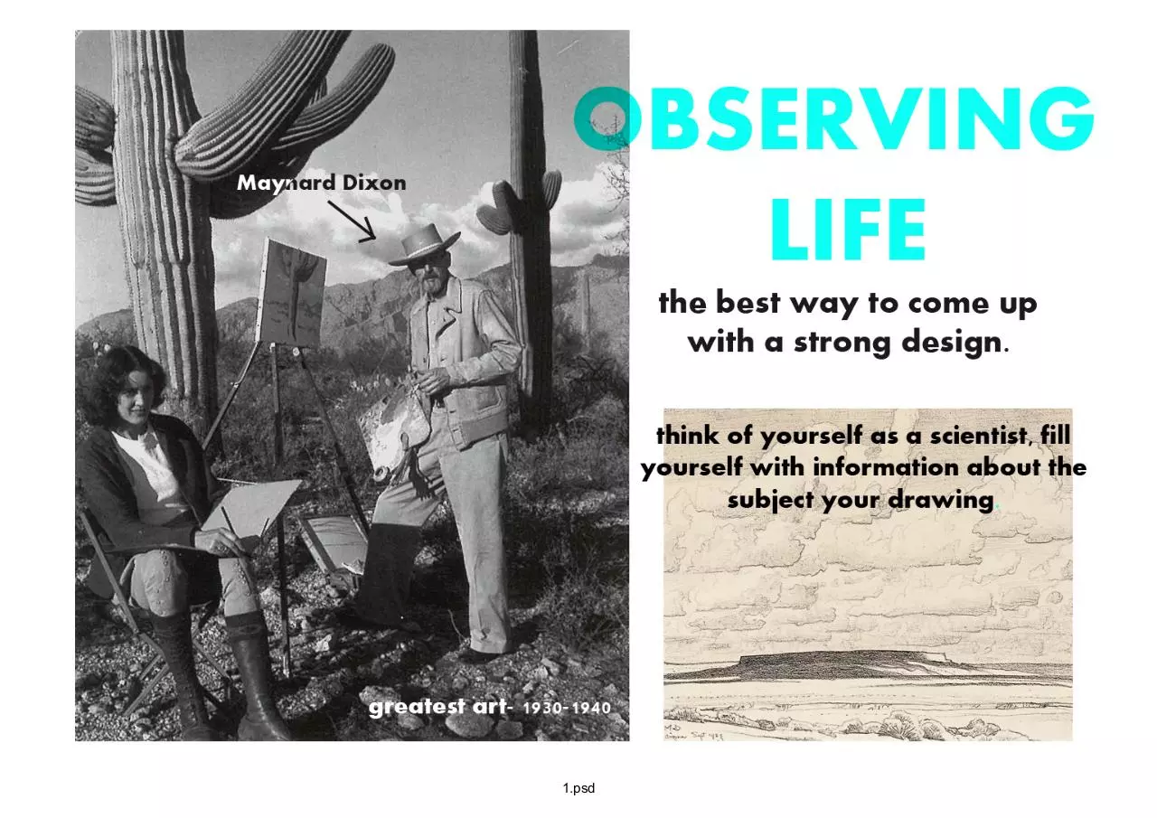 Page 1 of 49, visdev observing life