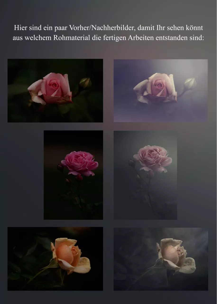 Page 4 of 11, Soft and vintage roses a little tutorial