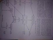 Page 3, hemorag