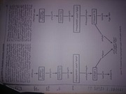 Page 4, hemorag
