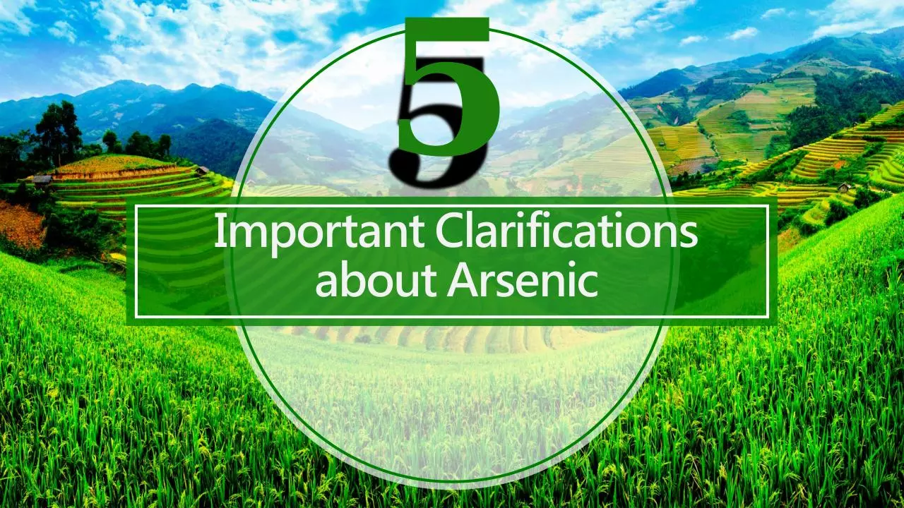 Page 1 of 6, Arsenic and Rice Protein