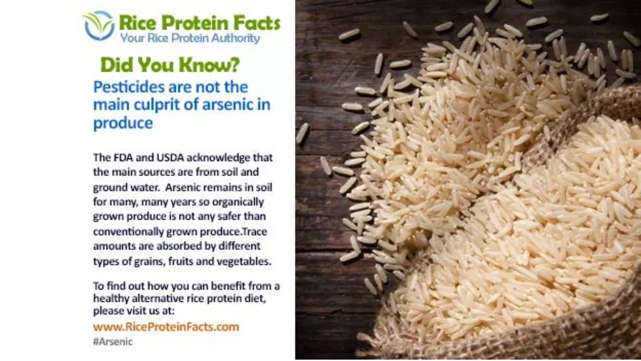 Page 3 of 6, Arsenic and Rice Protein