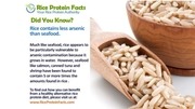 Page 4, Arsenic and Rice Protein
