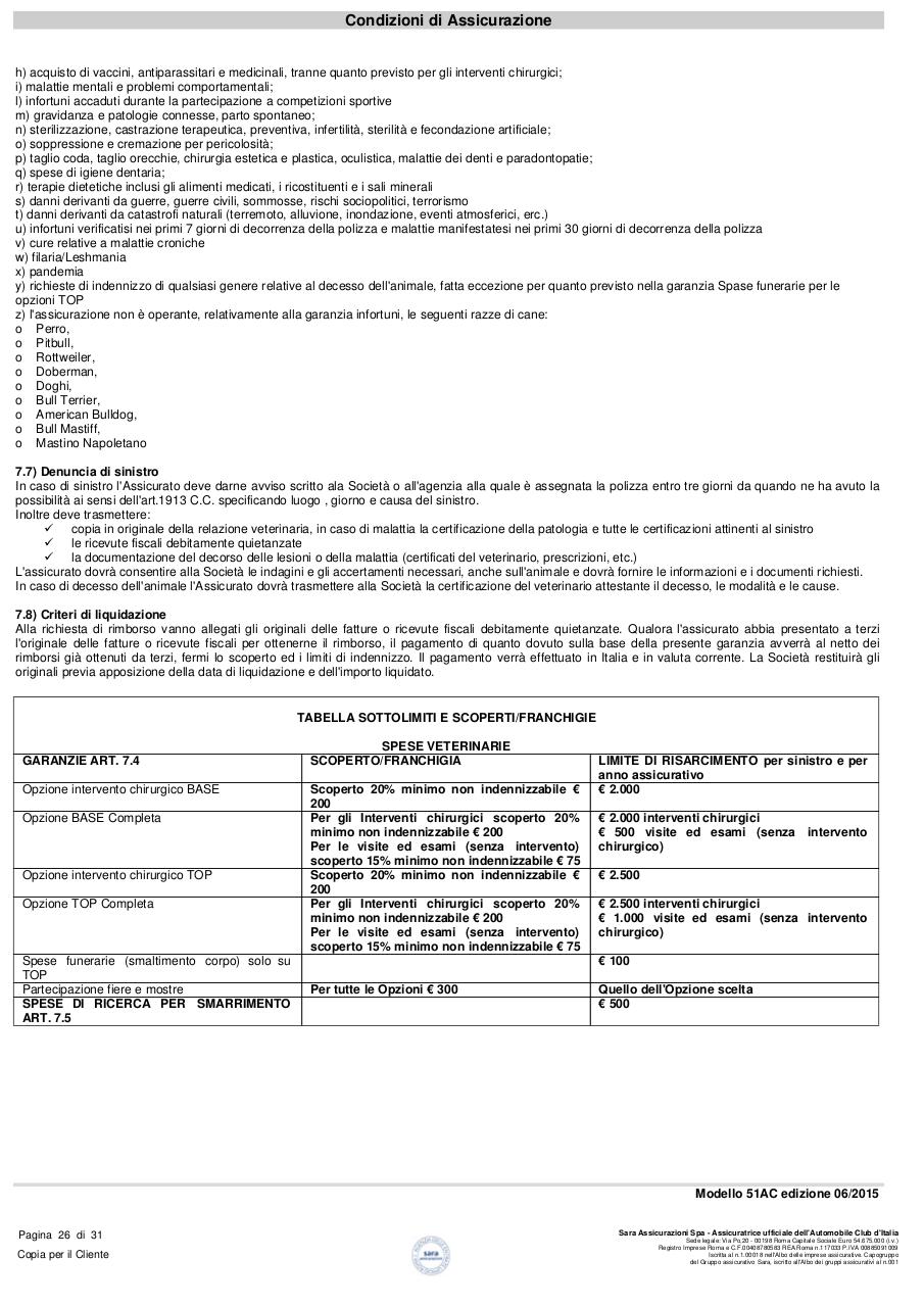 Document preview Spese_VetSARAINCASA.pdf - page 2/2