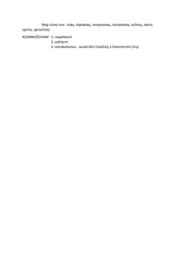Page 4, Dokument