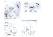 Page 2, PreSelectionKit 2