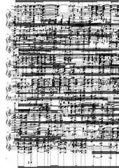 Page 4, skelet