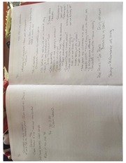 Page 3, Quixote Journal