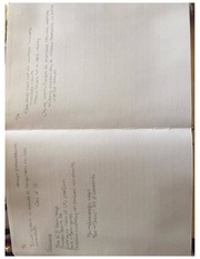 Page 4, Quixote Journal