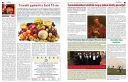 Page 2, Solet web 2015 12