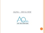 Page 1, 20151231 AQ SEM & SEO