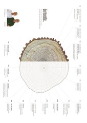 Page 3, DORMIENTE Katalog 2016