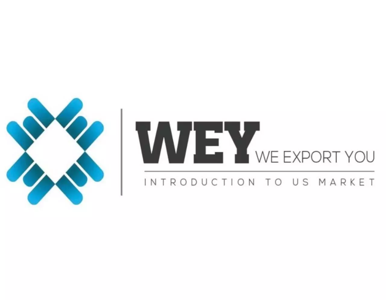 Page 1 of 9, WEY Presentation