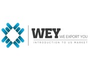 Page 1, WEY Presentation