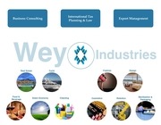 Page 3, WEY Presentation