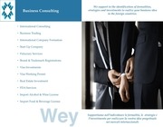 Page 4, WEY Presentation