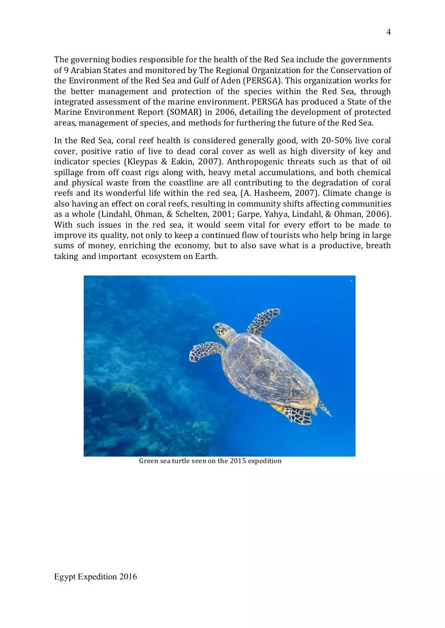 Page 4 of 38, Egypt Prospectus 2016