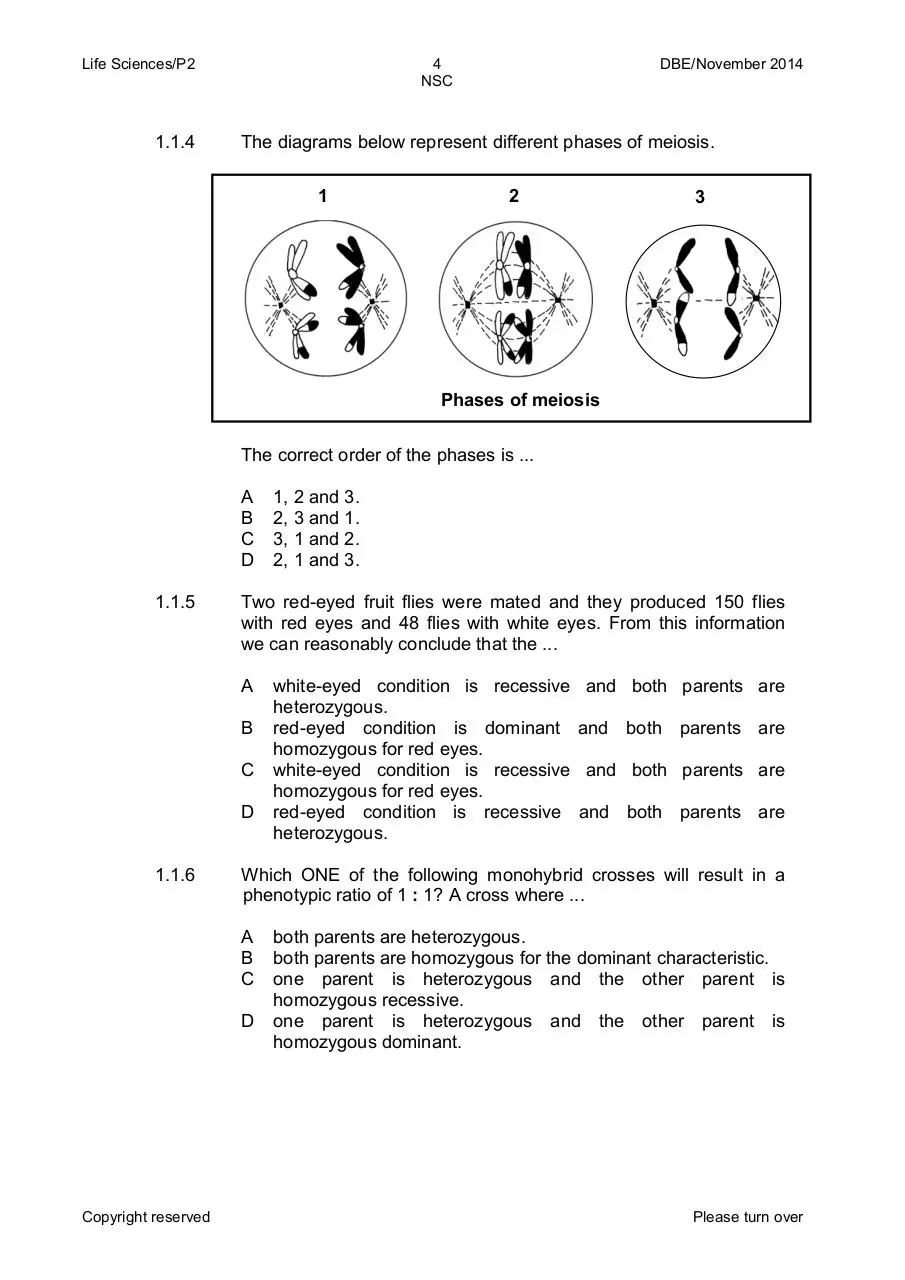 Page 4 of 16, Life+Sciences+P2+Nov+2014+Eng