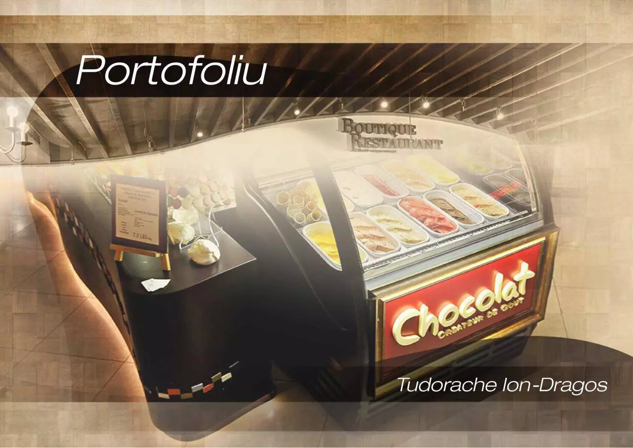 Page 1 of 12, portofoliu small