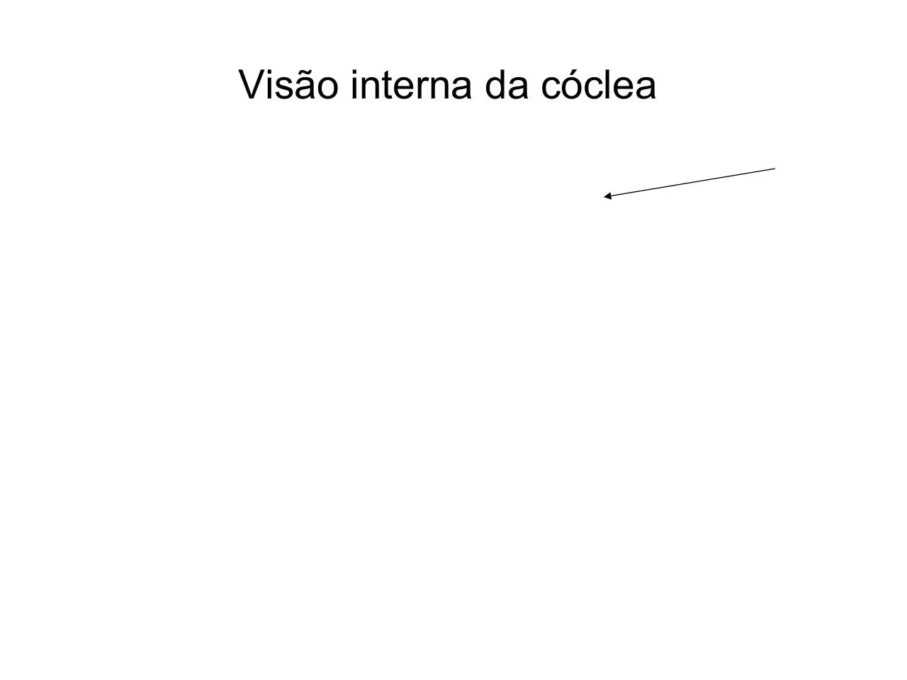 Page 3 of 21, Palestra Castelsardo sem figuras